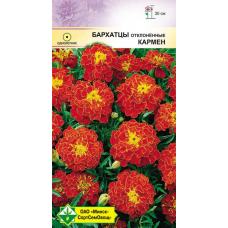 Семена бархатцев отклонённых Кармен 0.5г