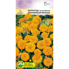 Семена бархатцев отклонённых Оранжевый малыш 0.3г