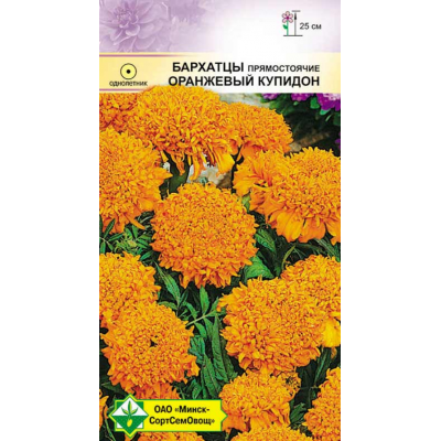 Семена бархатцев прямостоячих Оранжевый Купидон 0.3г