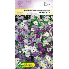 Семена брахикомы иберисолистной Нежность 0.2г