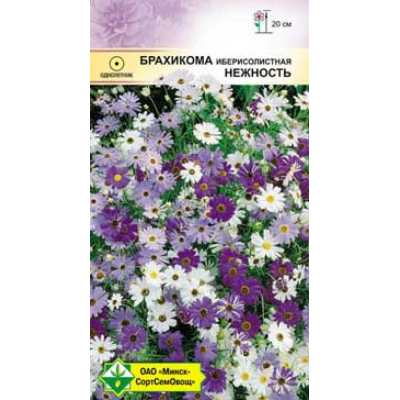 Семена брахикомы иберисолистной Нежность 0.2г