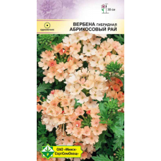 Семена вербены гибридной Абрикосовый рай 0.1г