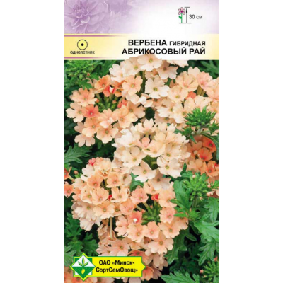 Семена вербены гибридной Абрикосовый рай 0.1г