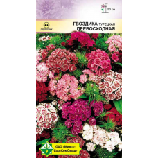 Семена гвоздики турецкой Превосходная см 0.5г