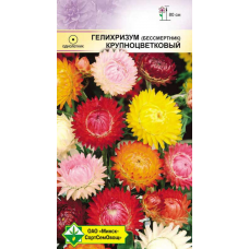 Семена гелихризума прицветкового Крупноцветковый 0.3г