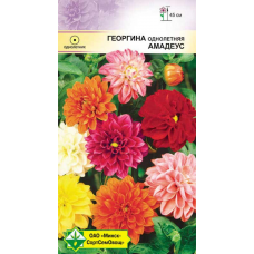 Семена георгины однолетней Амадеус 0.3г