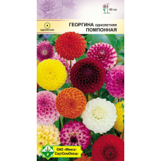 Семена георгины однолетней Помпонная см 0.3г