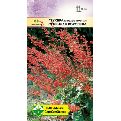 Семена геухеры кроваво-красной Огненная королева 0.03г