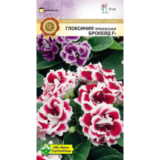 Семена Глоксиния прекрасная Брокейд F1 7шт
