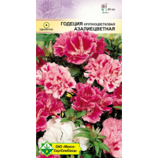 Семена годеции крупноцветковой Азалиецветная см 0.3г
