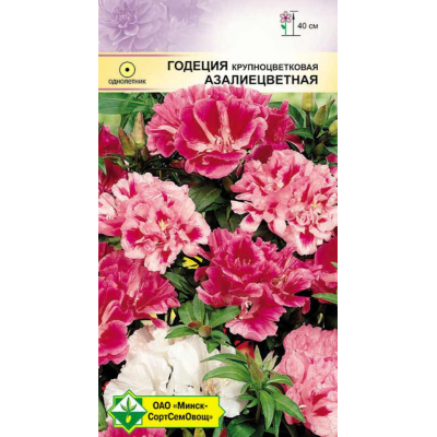 Семена годеции крупноцветковой Азалиецветная см 0.3г
