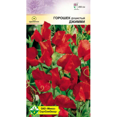 Семена горошка душистого Джимми 1г