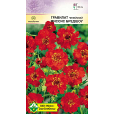 Гравилат чилийский Миссис Бредшоу 0.1г