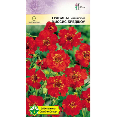 Гравилат чилийский Миссис Бредшоу 0.1г