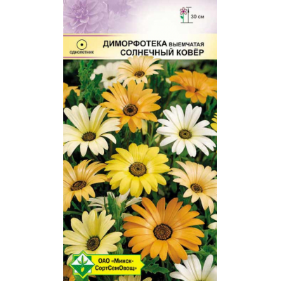 Семена диморфотеки выемчатой Солнечный ковер см 0.3г