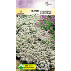 Семена Иберис вечнозел Снегопад 0.15г