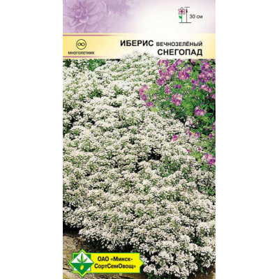 Семена Иберис вечнозел Снегопад 0.15г