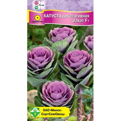Семена Капуста декоративная Закат F1 7шт