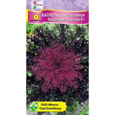 Семена капусты декоративной Красный павлин F1 7шт