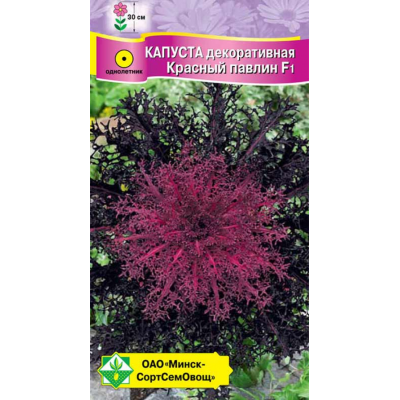 Семена капусты декоративной Красный павлин F1 7шт