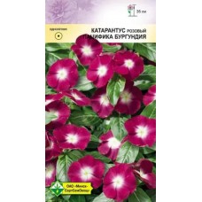 Семена катарантуса розового Пацифика Бургундия 10шт