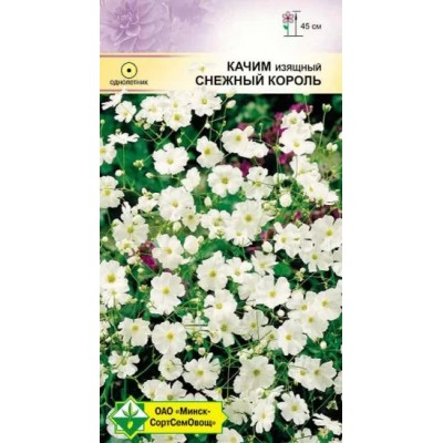 Семена качима изящного Снежный король 0.5г