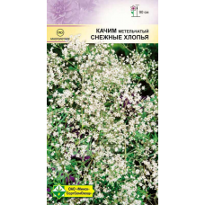Семена качима метельчатого Снежные хлопья 0.2г