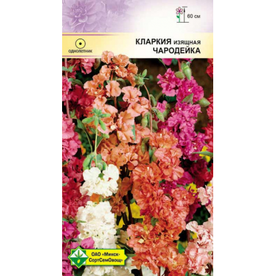 Семена кларкии изящной Чародейка см 0.3г