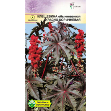 Семена клещевины обыкновенной Красно-коричневая 4шт
