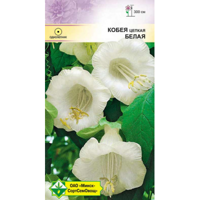 Кобея цепкая Белая 5шт