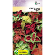 Семена колеуса Блюме Радуга 0.1г