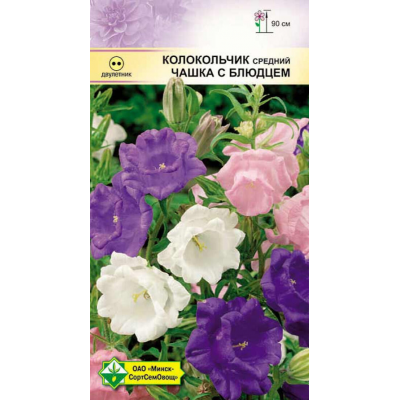 Колокольчик средний Чашка с блюдцем, смесь окрасок 0,2г (Satimex, Германия)