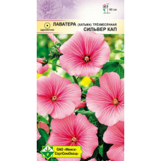 Семена лаватеры трехмесячной Сильвер Кап 0.5г