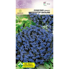 Семена лобелии эринус Император Вильям 0.05г