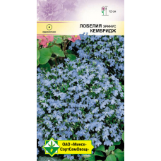 Лобелия эринус Кембридж 0.05г