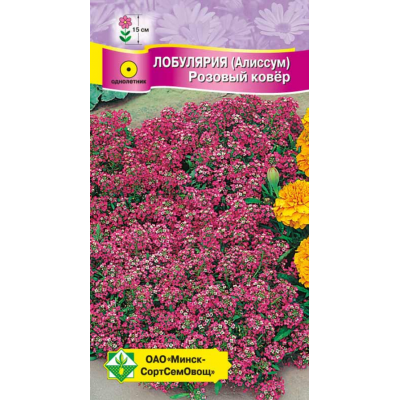 Семена лобулярии морской Розовый ковер 0.2г
