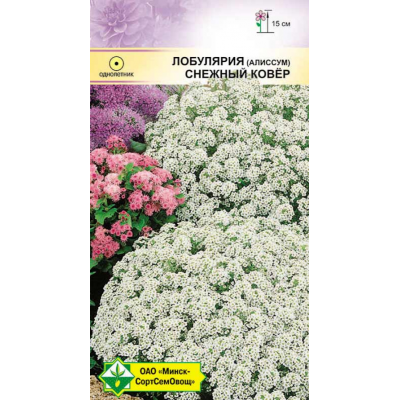 Семена лобулярии морской Снежный ковер 0.2г