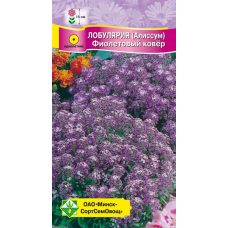 Семена лобулярии морской Фиолетовый ковер 0.2г
