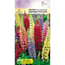 Семена люпина многолистного Гибриды Рассела см 1г