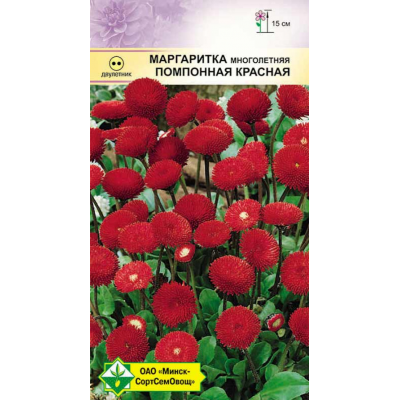 Семена маргаритки многолетней Помпонная красная 0.05г