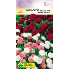 Семена Маргаритка многолетняя Помпонная см 0.05г