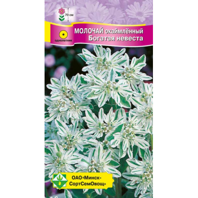 Молочай окаймленный Богатая невеста 0,5г (Q-Agro, МССО)