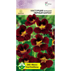 Семена настурции большой Черный бархат 1г