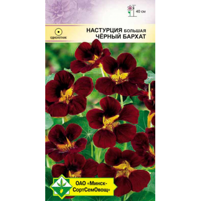 Семена настурции большой Черный бархат 1г
