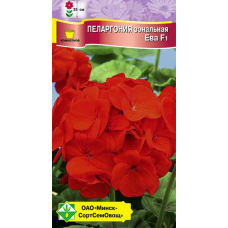 Пеларгония зональная Ева F1, семена 4шт (Cerny Seed, Чехия)
