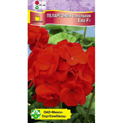 Пеларгония зональная Ева F1, семена 4шт (Cerny Seed, Чехия)