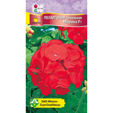 Пеларгония зональная Марина F1, семена 4шт (Cerny Seed, Чехия)