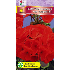 Семена пеларгонии зональной Найт Скарлет F1 4шт