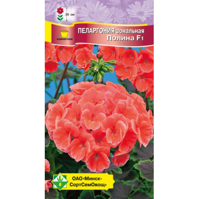 Пеларгония зональная Полина F1, семена 4шт (Cerny Seed, Чехия)