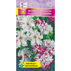 Семена петунии гибридной бахромчатой Поздравь из Яромнержа 7шт